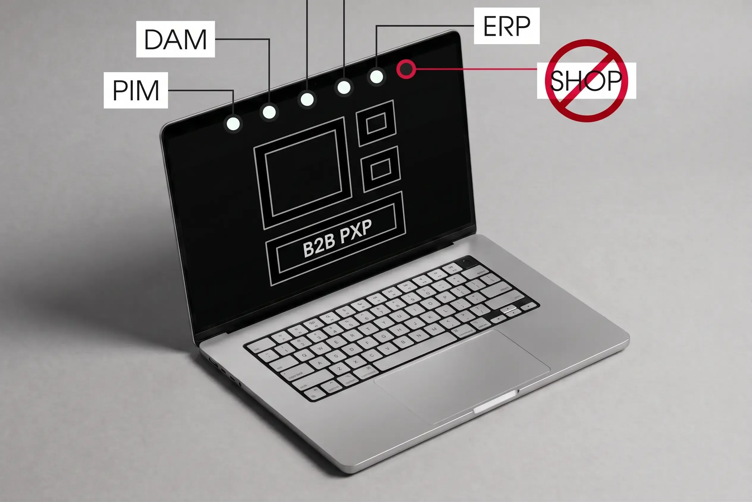 B2B Product Experience Plattformen (PXP)