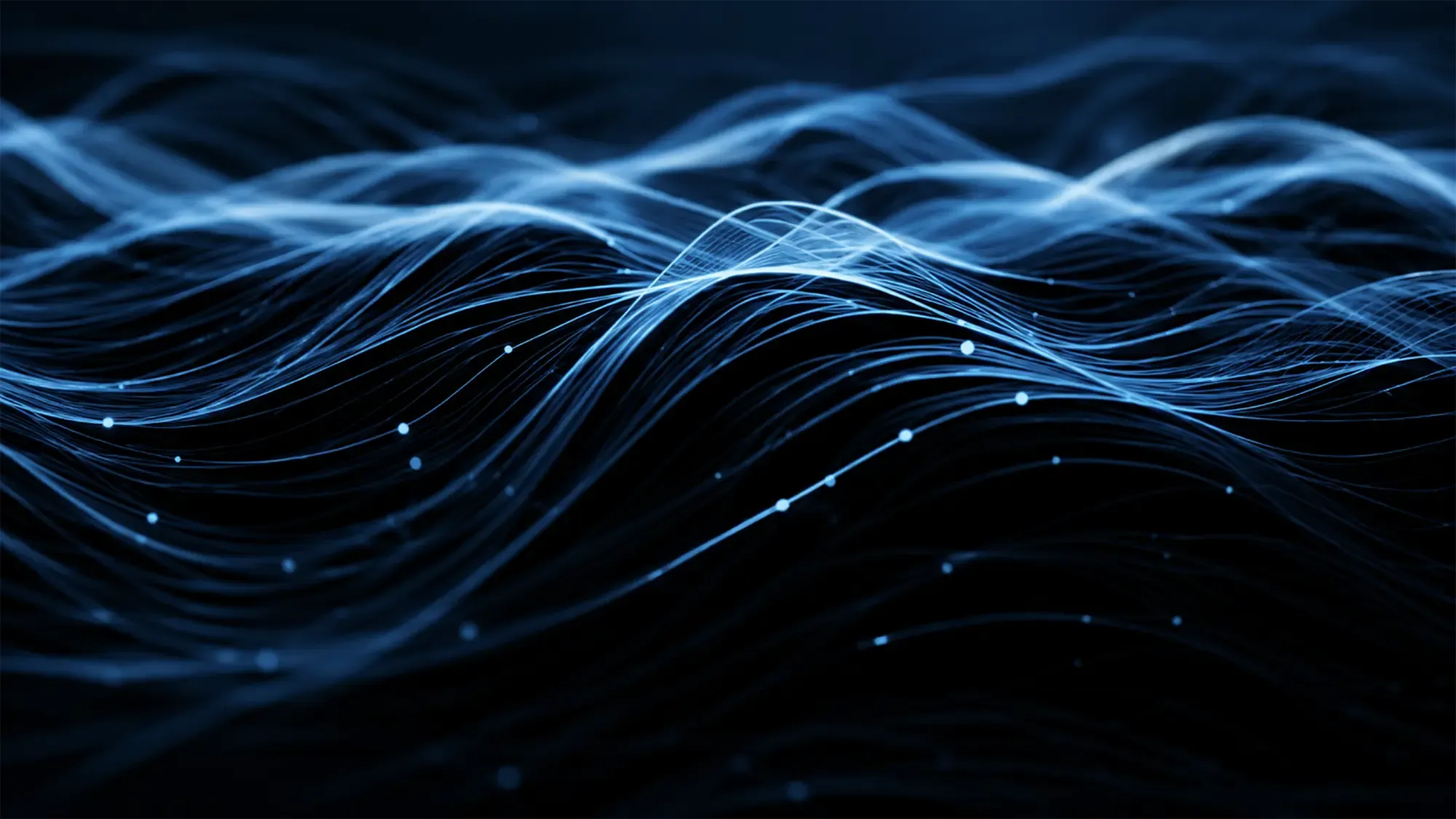 Data Experience Platform - Fusion Vendor-Management